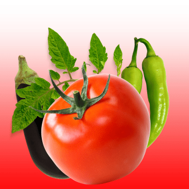Fresh Veg