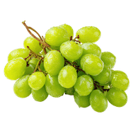 Fruit