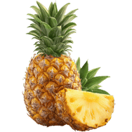 Fruit