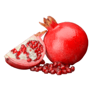 Fruit